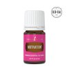 Motivace (Motivation) 5ml