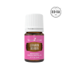 Růžová Geránie (Geranium Bourbon) 5ml