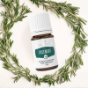 Rozmarýn+ (Rosemary) 5 ml