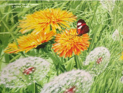 DOMESTIK 28535 1 LOUKA 7 popiska