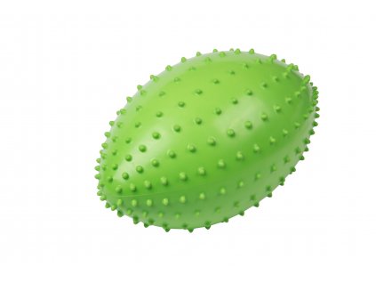 Ragbyový míč