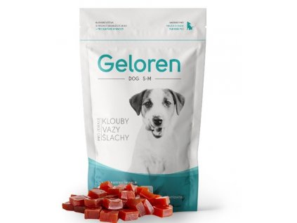 geloren dog s m