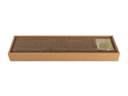 kf 405275 20220112191944 JGvAQ5