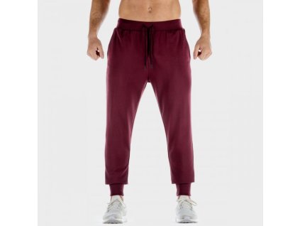Tepláky Lab 360 Joggers Tawny Port - SQUATWOLF