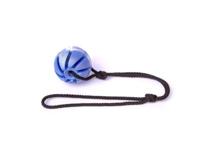 711c089f9b54a31c918c1b5305774a13