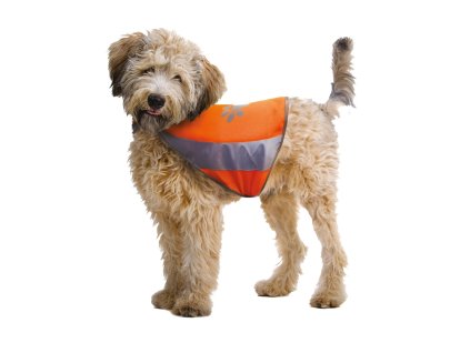 fd3d944c251c7388a12933f890e3a9c8