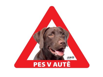 Samolepka pes v autě venkovní LABRADOR HNĚDÝ