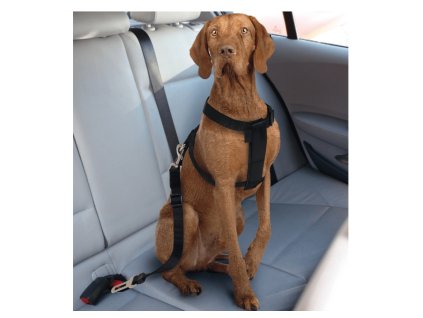 a13ad2e0f63c12f15d656abc5ebc8521