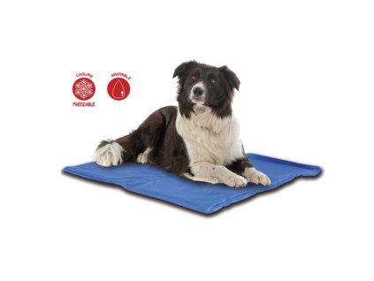 bbfb6eb72291b5f6e770f5af20acb01e