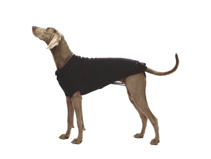 84f997bf4f1d0149197356c01a5321f4