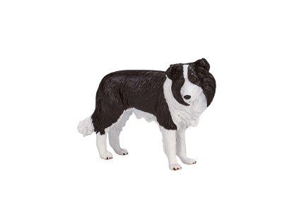 Mojo Border kolie
