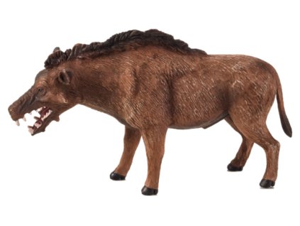 Mojo Daeodon