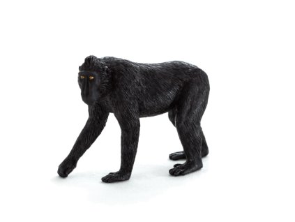 387182 e1431678429213 540x456