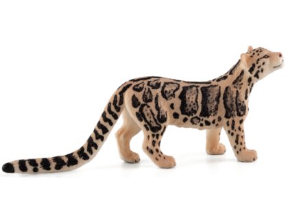 387172 CLOUDED LEOPARD 540x254%20%281%29