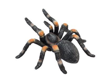 387213 Red Kneed Tarantula 5 540x540