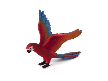 387263 PARROT e1485444669448 540x533