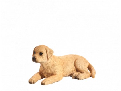 Mojo Labrador štěně