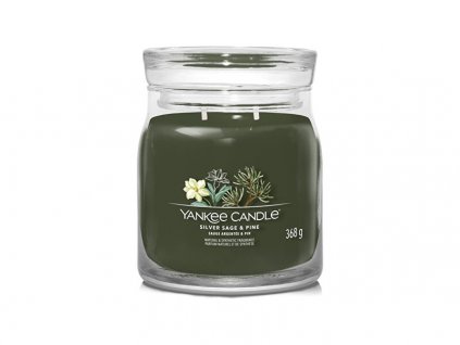 Yankee Candle Aromatická svíčka Signature sklo střední Silver Sage & Pine 368 g