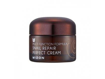 Mizon Pleťový krém s filtrátem hlemýždího sekretu 60% pro problematickou pleť (Snail Repair Perfect Cream) 50 ml