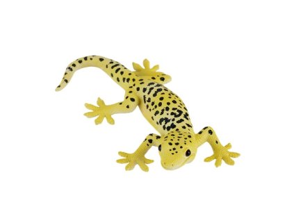 MJ381077 Leopard Gecko H