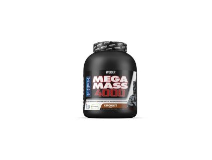 Gainer Giant Mega Mass 4000 - Weider