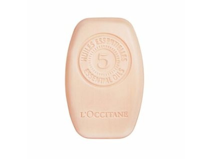 L'Occitane en Provence Tuhý regenerační šampon (Intensive Repair Solid Shampoo) 60 g
