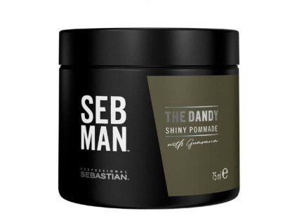 Sebastian Professional Pomáda na vlasy SEB MAN The Dandy (Shiny Pommade) 75 ml