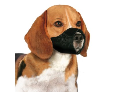 kf 502503 20211109051607 2huyD1