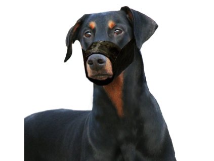 kf 502504 20211109051214 K66kq2