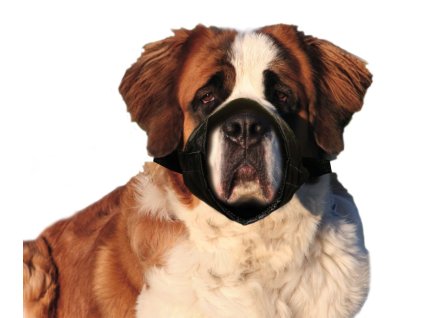 kf 502512 20211109051632 Q7mHmP