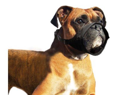 kf 502513 20211109051200 WFE4d6