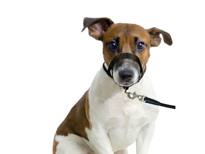 kf 502592 20211109051247 PZZkWg