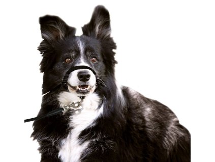 kf 502593 20211109051215 E1DCbE