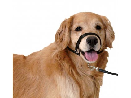 kf 502594 20211109051608 nEO7Vi