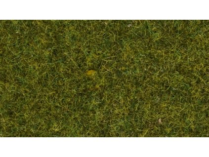 NCH08361 HL