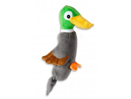 kf 521578 20211109051158 mNu955