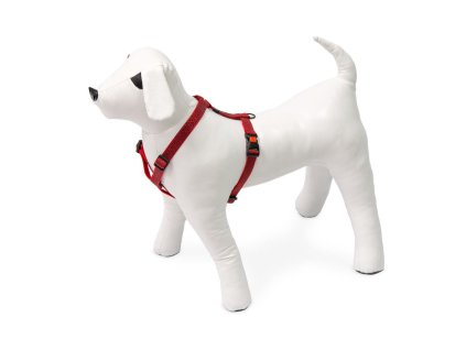 kf 522085 20211109051127 Qj75x6