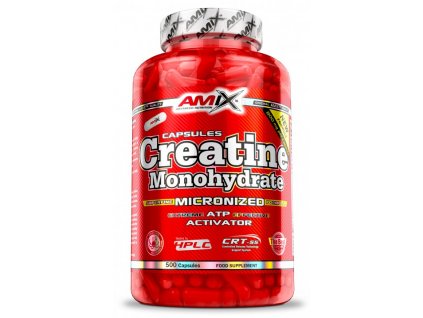 amix creatine monohydrate 500 kapsli