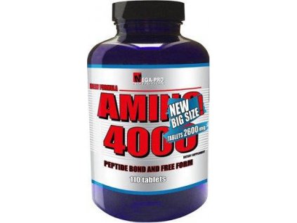 mega pro amino 4000 110 tbl