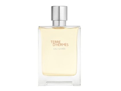 Hermes Terre d`Hermès Eau Givrée - EDP - TESTER (Objem 100 ml)