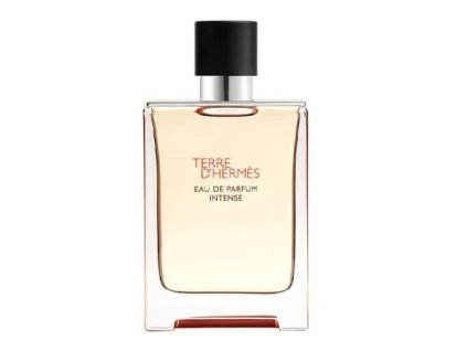 Hermes Terre D`Hermès Intense - EDP (plnitelná) (Objem 50 ml)