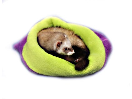 Pelisek pro fretky fialova svetle zelena 2411201710535028267