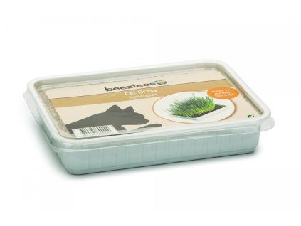 BZ GRASS FOR CAT IN PLASTIC BOX 130GR 2402202108423936164