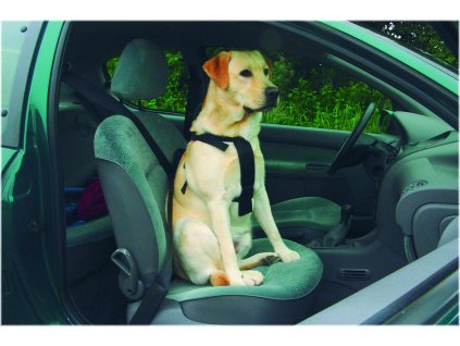 BZ DOG CAR HARNESS M 2602202113514279685