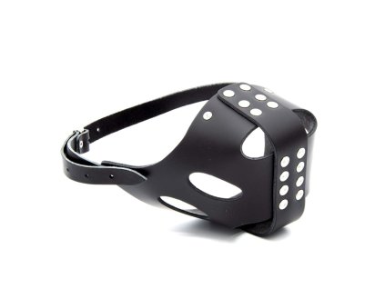 31b25bb4d9f1697a674981789ce5e46c