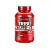 Tribu Stallion - ActivLab