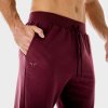 Tepláky Lab 360 Joggers Tawny Port - SQUATWOLF