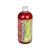 ChampION Sports Fuel 1000 ml - Amix