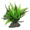 Lucky Reptile Fern cca 25 cm