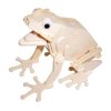 Woodcraft Dřevěné 3D puzzle žába